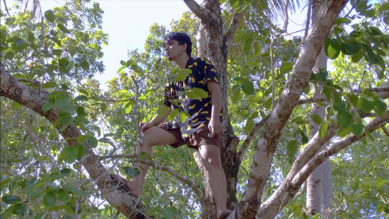 Lynel | Melt Records