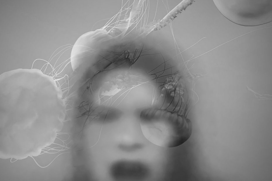 Teetan "Jiminy Laments" music video | Melt Records