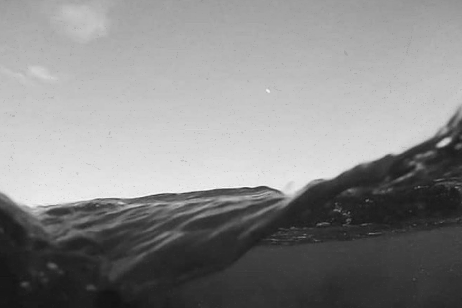 monopolice - A Fine Day For A Swim | Melt Records