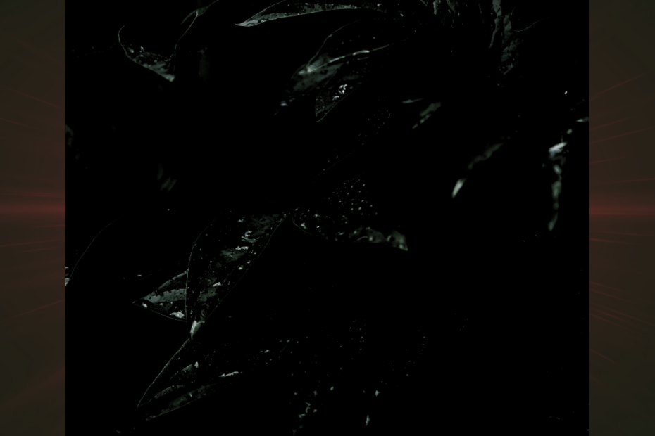 Apebreeder - Lord of Sudden Anger | Melt Records