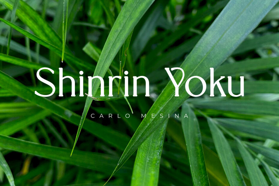 Carlo Mesina - Shinrin Yoku | Melt Records