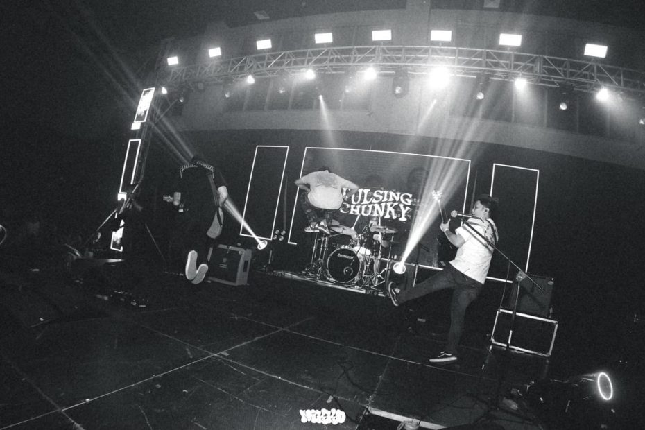 Pulsing Chunky | Melt Records